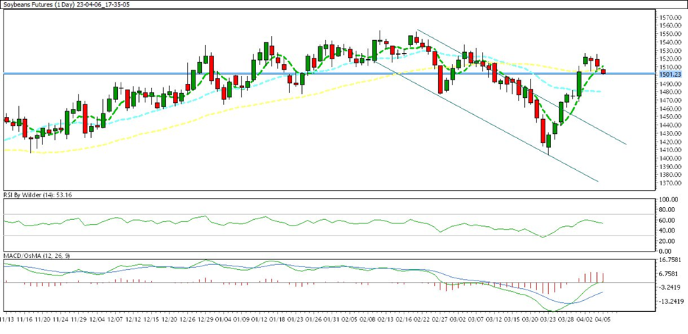 weekly charts