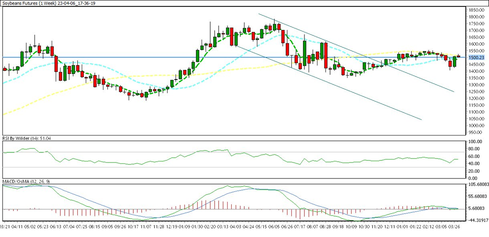 weekly charts