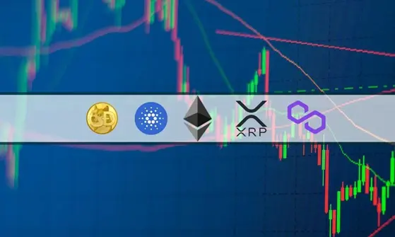 crypto market