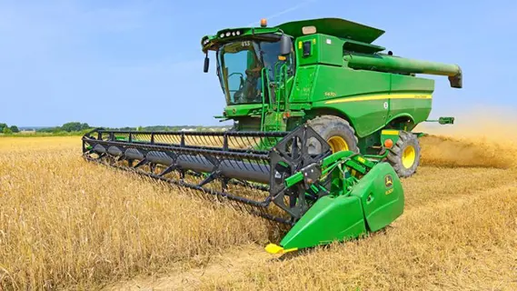wheat price
