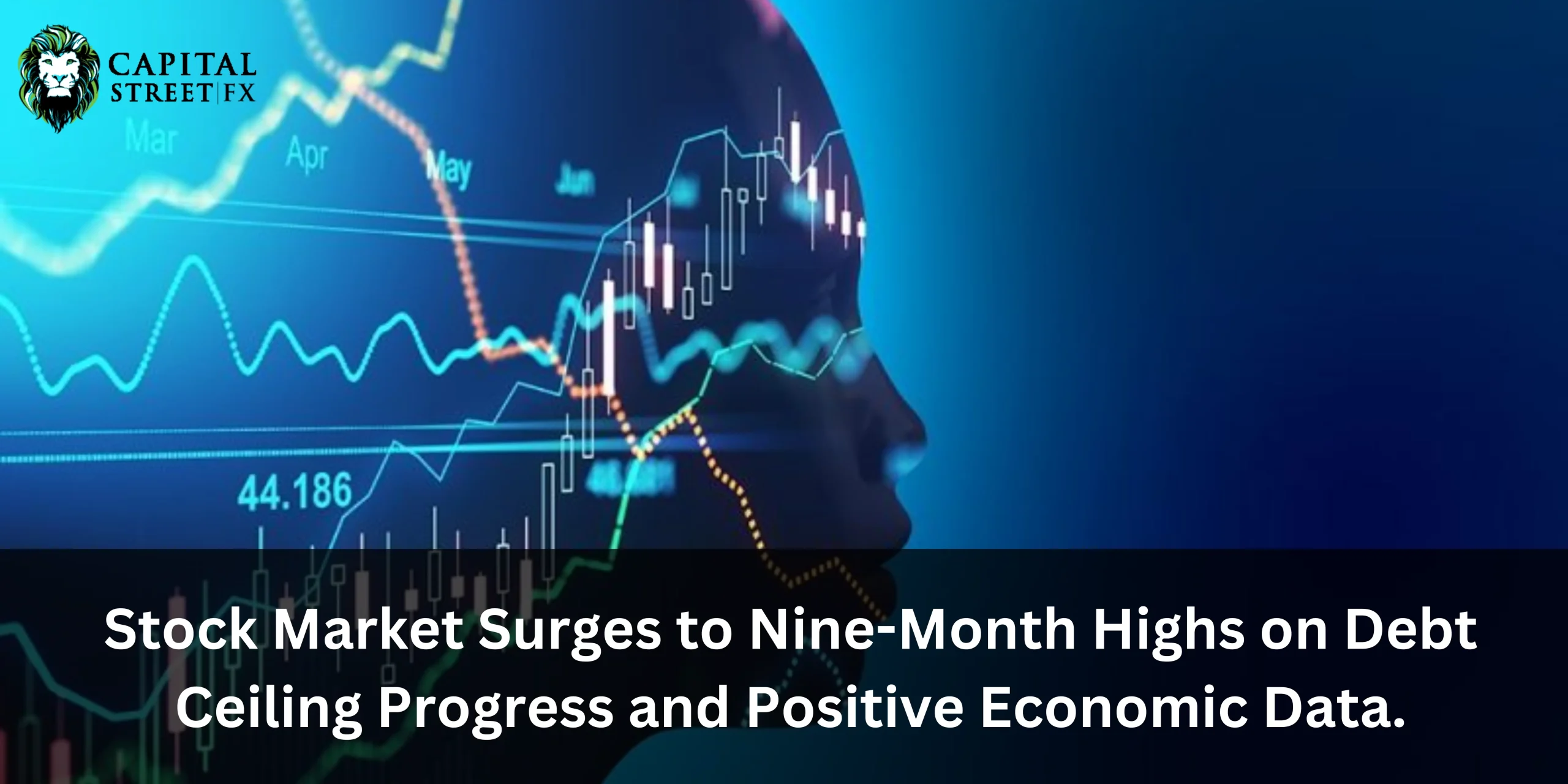 stock market