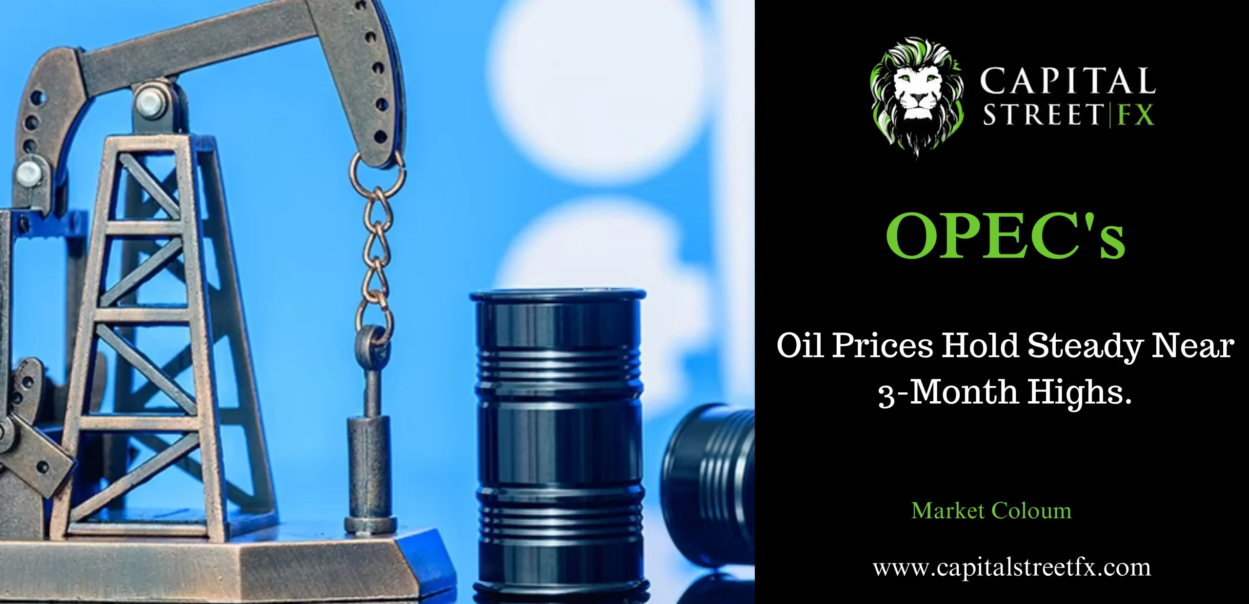 Oil price hold