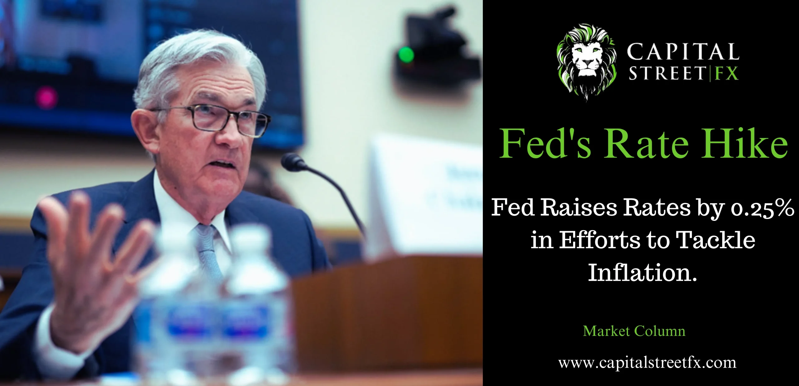 fed's rate hike