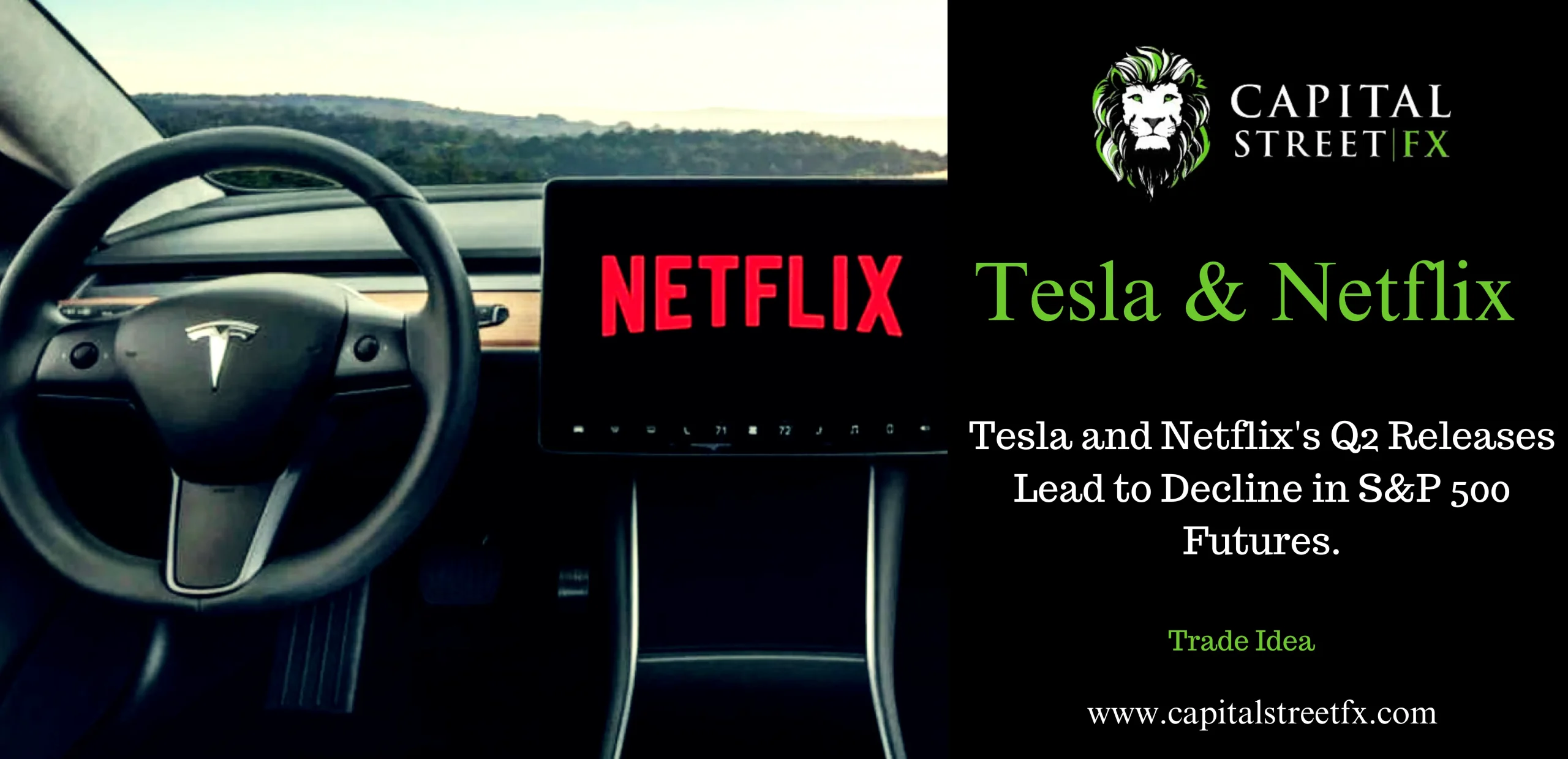 tesla and netflix