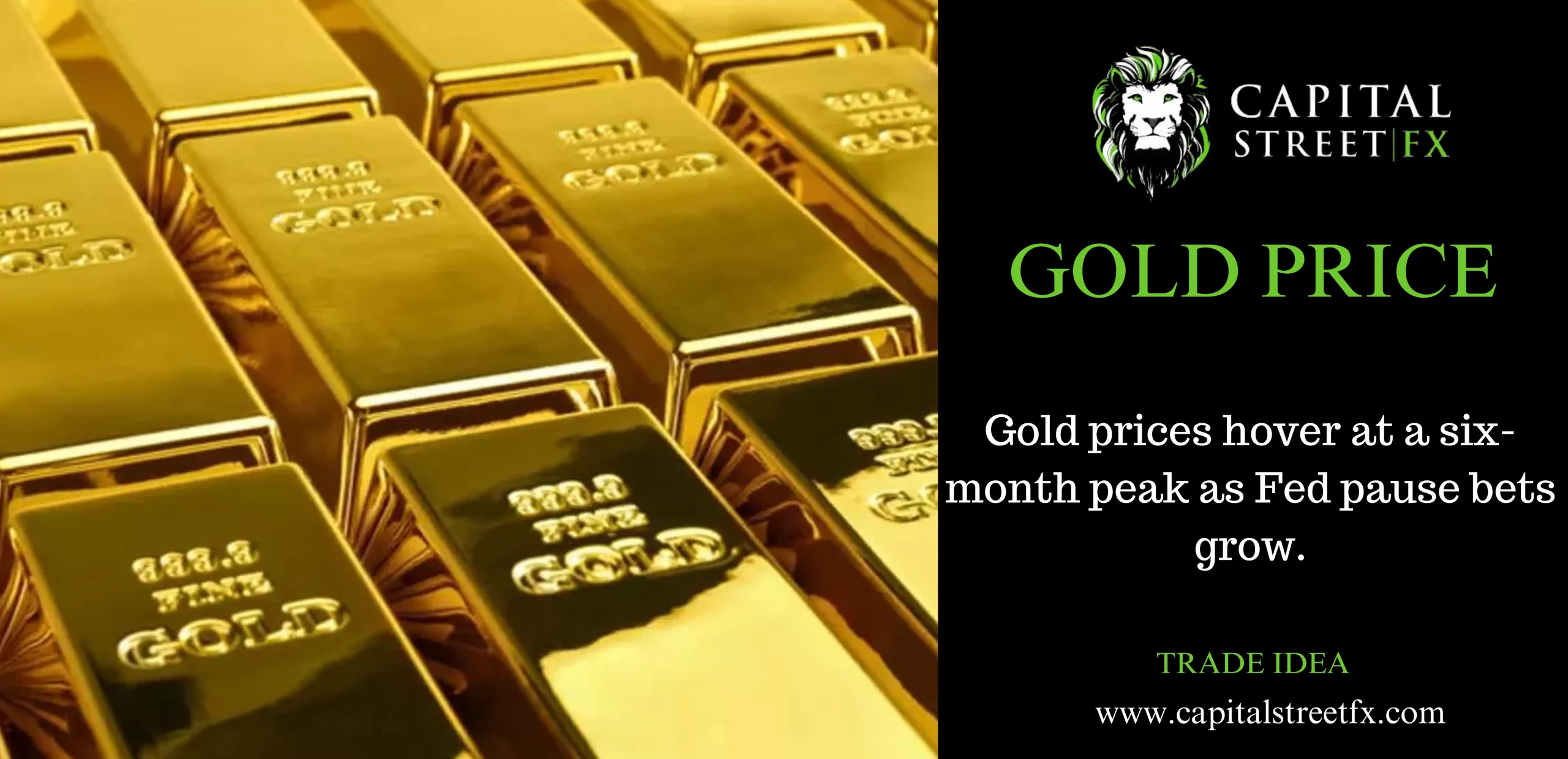 GOLD SURGES