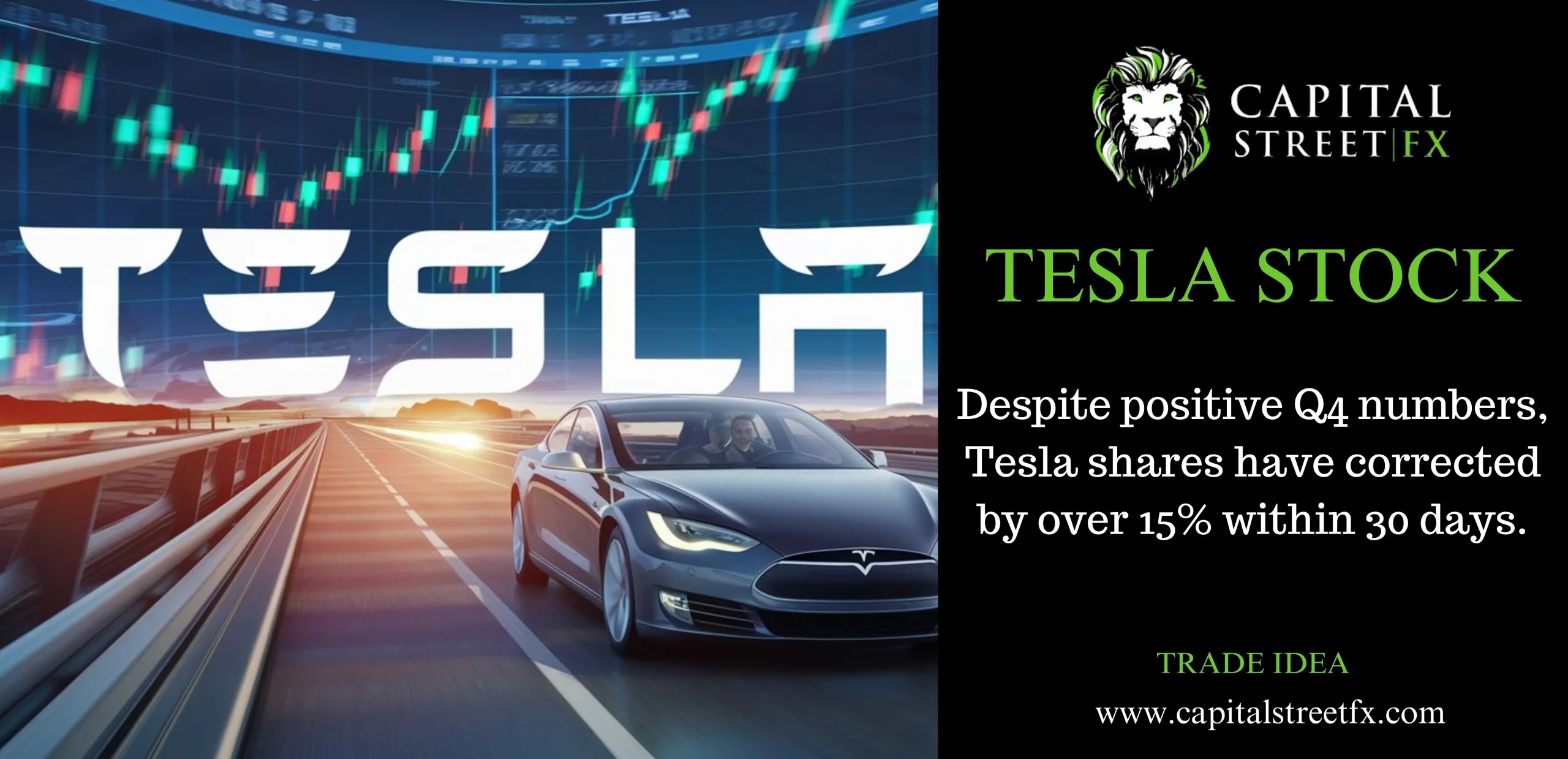Tesla Stock