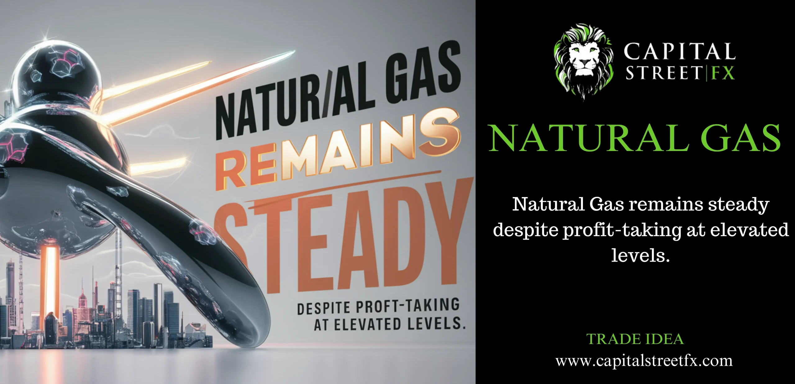 NATURAL GAS