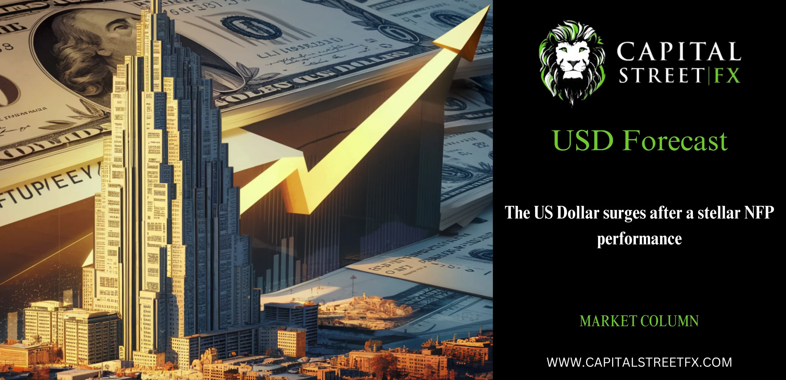 Dollar surges