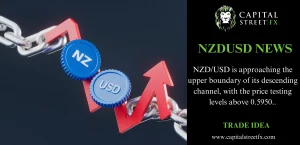 NZDUSD NEWS