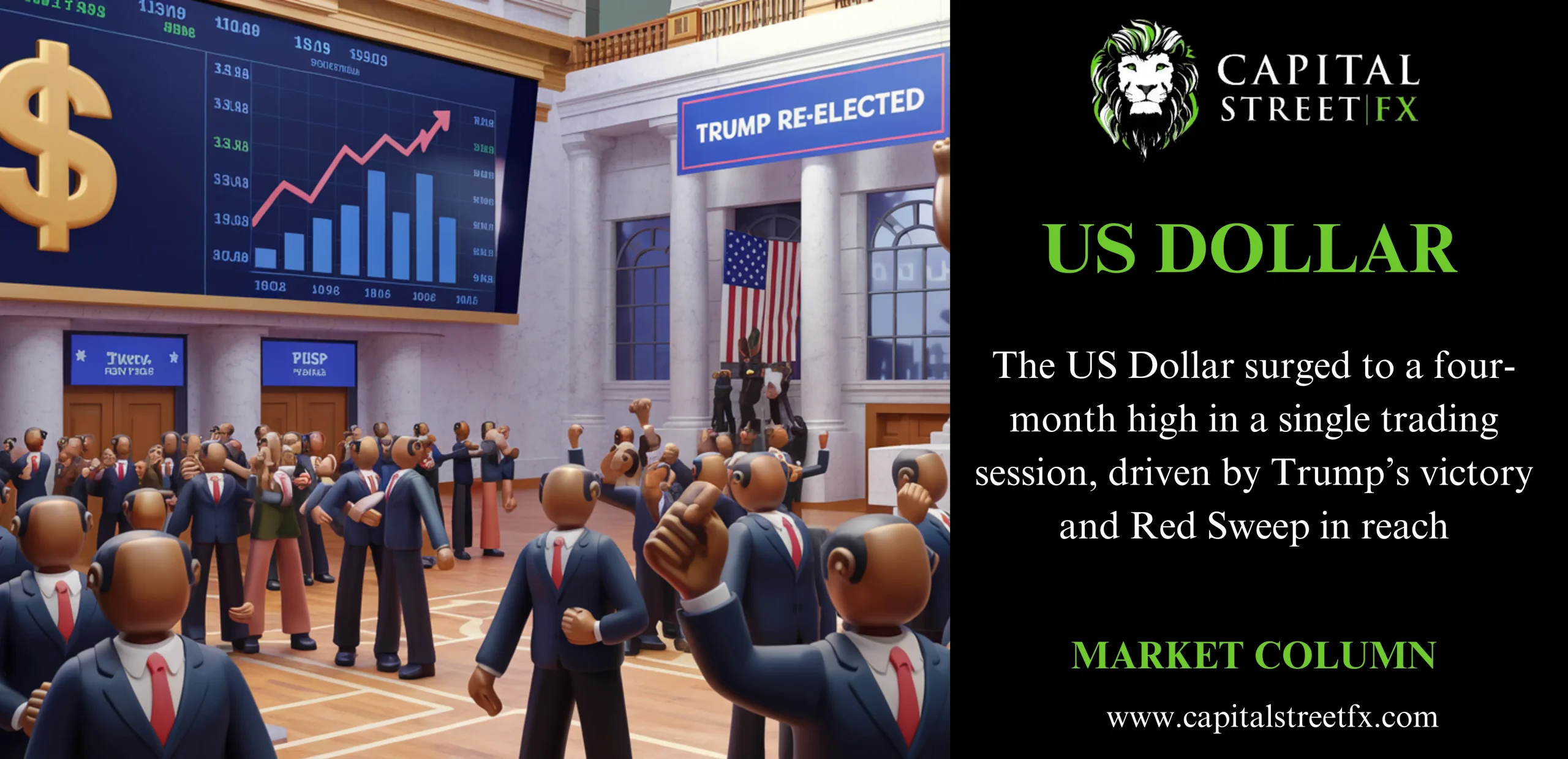 US DOLLAR RISE