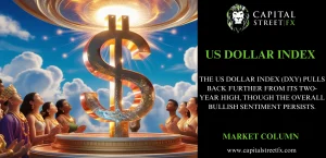 US DOLLAR INDEX