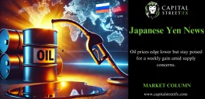 Oil Price Market Update