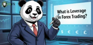 what is leverage in forex?